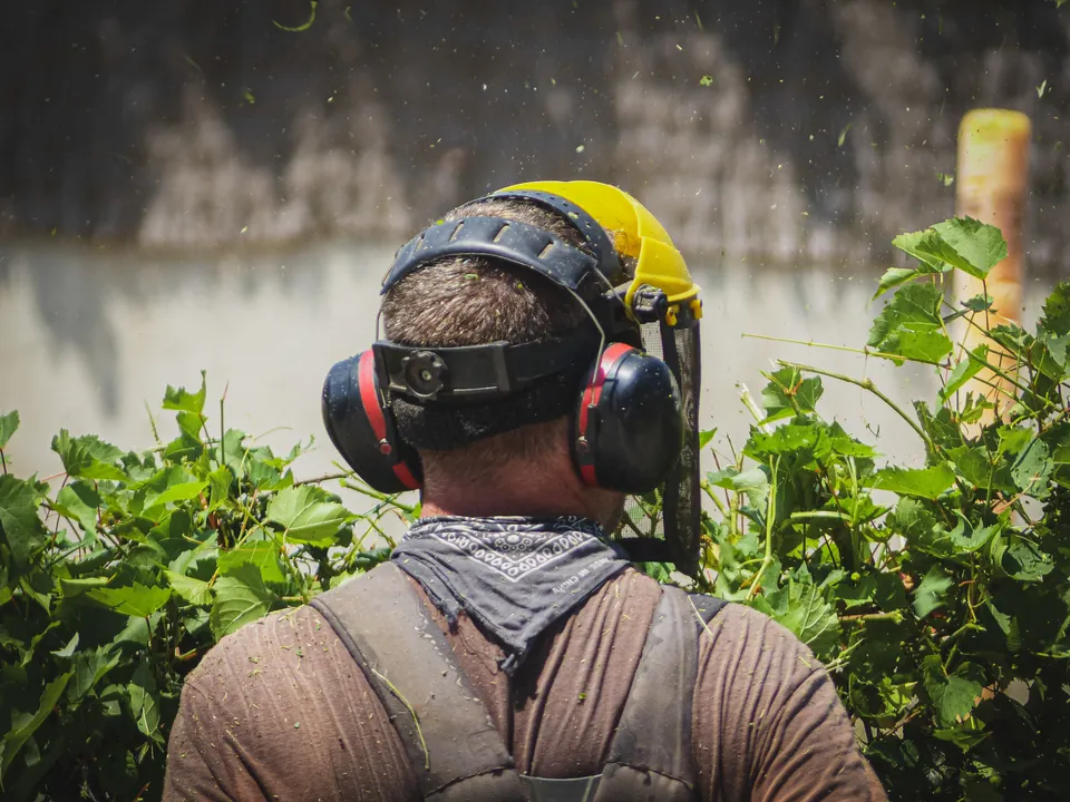 El jardinero